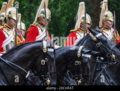 Londra 15 giugno 2024 Trooping the Colour. Il Household Cavalry Regiment torna a Buckingham Palace in mezzo a forti piogge credito: MartinJPalmer/Alamy Live News Foto Stock