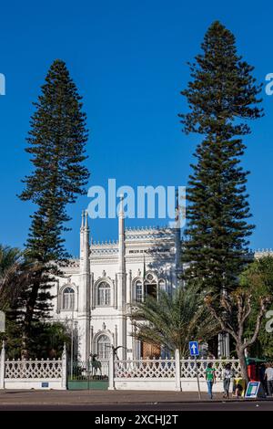 Mozambico, Maputo, Maputo Cidade, Museu De História Natural, Museo di storia naturale Foto Stock