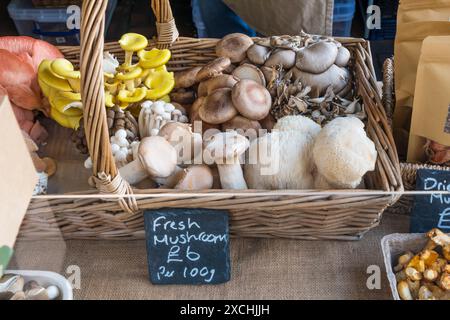 Un cestino di funghi commestibili in vendita ad una fiera del cibo di Norfolk. Foto Stock