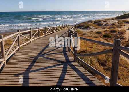 Passeggiata sul lungomare di Artola, accanto a Puerto de Cabopino, Marbella, Costa del Sol, Provincia di Malaga, Andalusia, Spagna meridionale. Le dune di sabbia dietro il bea Foto Stock