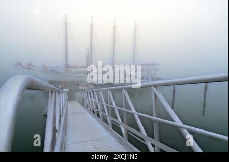 Rampa per la barca a vela nella nebbia. Bar Harbor, Maine Foto Stock