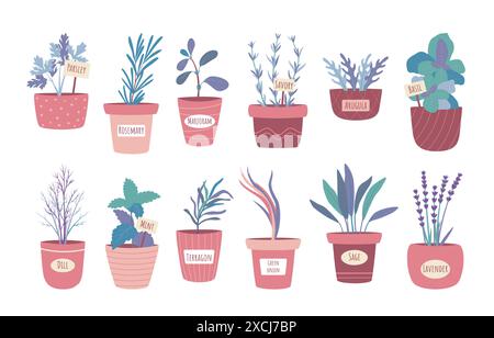 Vasi di fiori. Coltivare piante a casa. Coltivazione di erbe aromatiche. Rucola e salvia in vasi da fiore. Ingredienti a base di erbe. Foglie salate e di aneto. Fiori di lavanda. Rametti di prezzemolo. Set di piante da casa vettoriali Illustrazione Vettoriale