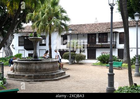 Icod de los Vinos. Tenerife, provincia di Santa Cruz de Tenerife, Isole Canarie, Spagna. Foto Stock