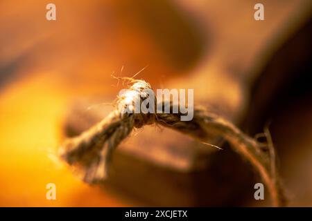 Foto macro di un nodo a spago, che cattura i dettagli intricati e le fibre testurizzate in uno splendido primo piano. Foto Stock