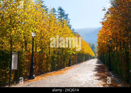 Percorso. Giardini de la Granja de San Ildefonso, provincia di Segovia, Castilla Leon, Spagna. Foto Stock