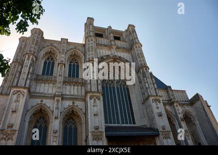 L'ingresso principale della chiesa di San Pietro (Sint-Pieterskerk) visto dalla piazza Mathieu de layensssquare (Mathieu de layensplein). Proprio nel cuore di Foto Stock