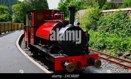 Motore Red Falcon alla stazione Corris, Corris nella valle di Dulas nel Galles centrale Foto Stock