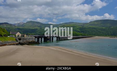 Il viadotto di Barmouth, classificato di grado 2, recentemente restaurato, trasporta il traffico ferroviario sulla Cambrian Coast line, nonché camminatori e ciclisti sul passaggio pedonale. Foto Stock