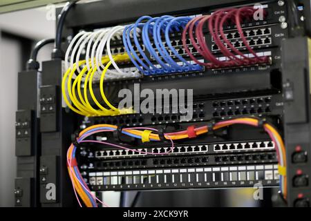 Rack dati di rete con primo piano delle apparecchiature di rete montate. Patch cord e patch panel. Messa a fuoco selettiva. Foto Stock