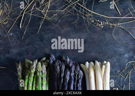 Asparagi bianchi, viola e verdi su sfondo scuro. Concetto di cibo crudo, spazio per la copia. Foto Stock