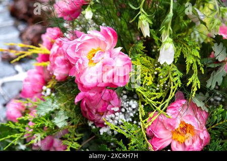 Fiori rosa in un ambiente naturale con vegetazione intorno a loro Foto Stock