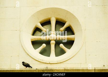 Un piccione è appollaiato su una sporgenza accanto a una finestra con un design rotondo. La finestra è in pietra e ha una forma circolare Foto Stock