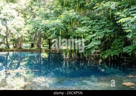 Le fontane blu di Château de Beaulon - Saint Dizant du Gua; Charente Maritime, Francia Foto Stock