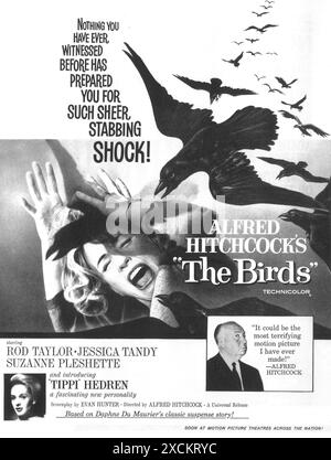 1963 il poster del film The Birds di Alfred Hitchcock Foto Stock