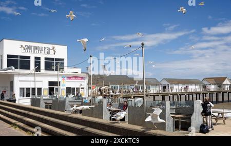 Stormo di gabbiani che girano sopra i turisti di fronte al Southwold Pier a Southwold, Suffolk, Regno Unito, il 14 giugno 2024 Foto Stock