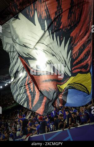 Dusseldorf, Germania. 17 giugno 2024. I tifosi della Francia festeggiano dopo la partita UEFA Euro 2024 del gruppo D tra Austria e Francia a Dusseldorf, Germania, il 17 giugno 2024. Crediti: Pan Yulong/Xinhua/Alamy Live News Foto Stock