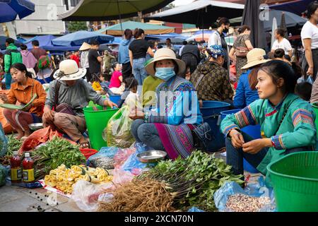 Donne hmong che vendono verdure al mercato di Bac ha, provincia di Lao Cai, Vietnam Foto Stock