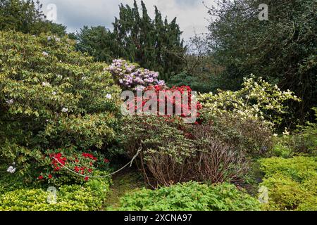 Il Royal Botanic Garden di Edimburgo in primavera con fiori fioriti nella città di Edimburgo, Scozia, Regno Unito. Foto Stock