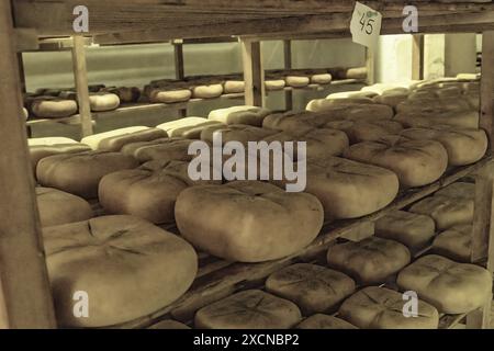 Una vista interna di una sala di invecchiamento del formaggio a Minorca, Spagna, con scaffali pieni di forme di formaggio che maturano nel tempo. Foto Stock