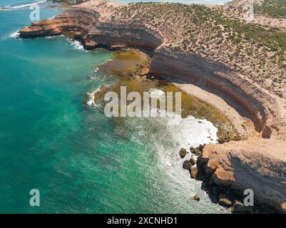 Vista aerea di un'aspra linea costiera erosa con baie riparate e vegetazione sparsa alle alte scogliere sulla penisola di Eyre nell'Australia meridionale Foto Stock