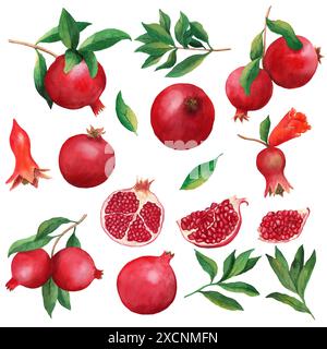 Set di acquerelli melograni, illustrazione con frutta, rami, fiori, foglie, isolato su sfondo bianco. Melagrana intera e mezza tagliata eleme Foto Stock