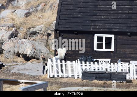 Iliminaq - un villaggio isolato ai margini della baia di Disko nella Groenlandia occidentale Foto Stock