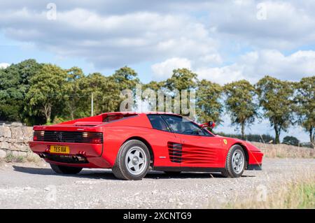 Vista posteriore di tre quarti di una Ferrari Testarossa in piedi su una corsia di campagna in estate con alberi sullo sfondo Foto Stock