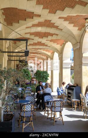 Francia, regione Ile de France, 4° arrondissement di Parigi, le Marais, Place des Vosges, portici a volta Foto Stock