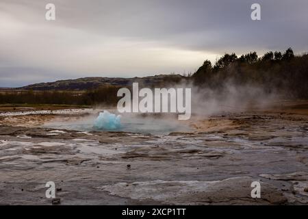 Strokkur geyser fase iniziale dell'eruzione con formazione di bolle blu, geyser tipo fontana nell'area geotermica in Islanda, nessun popolo. Foto Stock