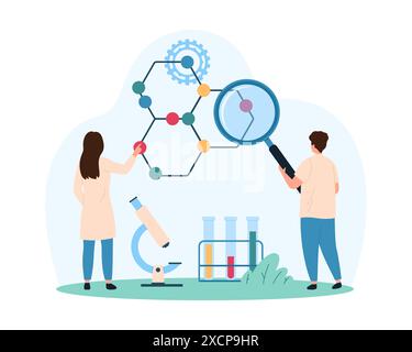 Studio di formula chimica, struttura di molecole e atomi, sostanze organiche e inorganiche piccole persone che studiano modello molecolare con lente di ingrandimento e illustrazione del vettore cartoon al microscopio Illustrazione Vettoriale