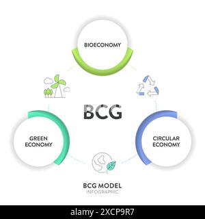 Modello BCG strategia infografica diagramma modello banner grafico per la presentazione con principi di bioeconomia, economia circolare e economia verde. Sustaina Illustrazione Vettoriale