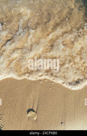 Onde schiumose su una superficie sabbiosa a shore.selective° Foto Stock