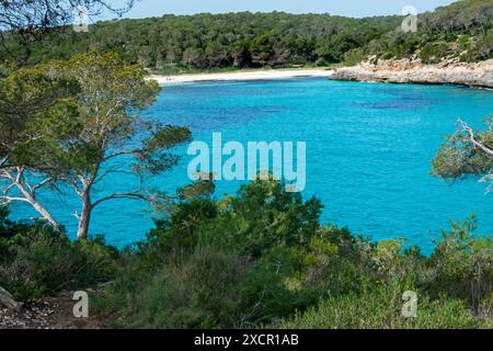 Cala Mondrago è una spiaggia di villeggiatura appartata a Maiorca con acque calme protette da promontori circostanti Foto Stock