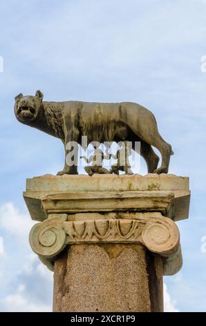 Lupo capitolino in Campidoglio - Roma, Italia Foto Stock