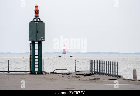 Wilhelmshaven, Germania. 13 giugno 2024. Con il tempo nuvoloso, il faro di Arngast sorge nella Baia di Giada, che fa parte del Parco Nazionale del Mare di Wadden della bassa Sassonia. A causa della sua importanza geologica ed ecologica, vaste parti del Mar dei Wadden tedesco e olandese sono state aggiunte alla lista del patrimonio mondiale dell'UNESCO nel 2009. Crediti: Hauke-Christian Dittrich/dpa/Alamy Live News Foto Stock