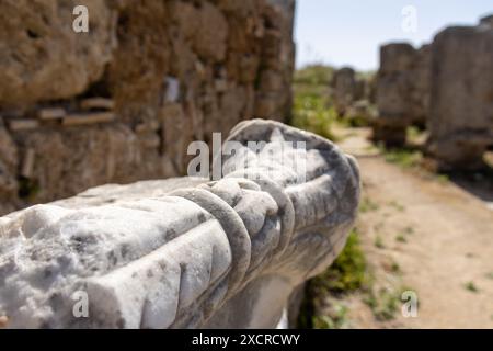 Dettagli su una colonna scolpita nel colonnato dell'antica città in rovina di Perge vicino ad Antalya in Turchia in una giornata di sole con cielo blu, un viaggio classico. Foto Stock