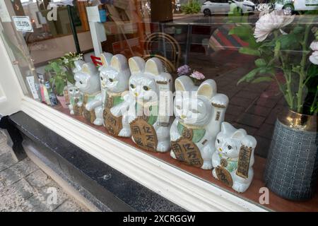 Amsterdam, Paesi Bassi. Maneki Neko - gatti giapponesi attirati, donati come regali per buona fortuna, in una vetrina. Foto Stock