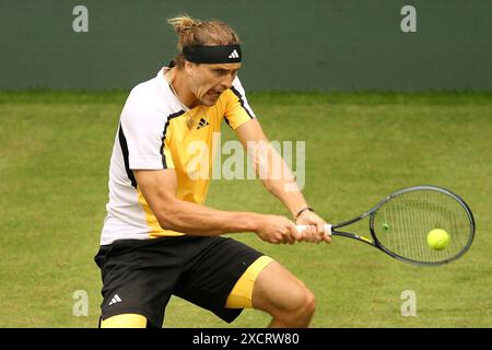 18 giugno 2024, Renania settentrionale-Vestfalia, Halle/Westfalen: Tennis: ATP Tour Halle/Westfalia, singolare maschile, 1° round, Otte contro Zverev (entrambe Germania), Alexander Zverev in azione. Foto: Claus Bergmann/dpa Foto Stock