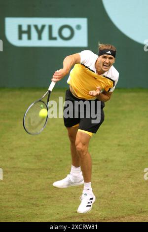 18 giugno 2024, Renania settentrionale-Vestfalia, Halle/Westfalen: Tennis: ATP Tour Halle/Westfalia, singolare maschile, 1° round, Otte contro Zverev (entrambe Germania), Alexander Zverev in azione. Foto: Claus Bergmann/dpa Foto Stock