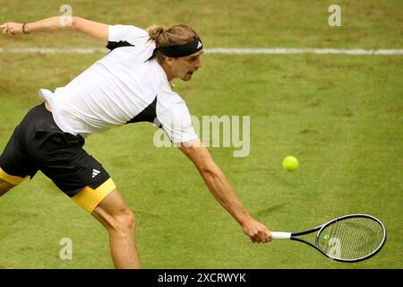 18 giugno 2024, Renania settentrionale-Vestfalia, Halle/Westfalen: Tennis: ATP Tour Halle/Westfalia, singolare maschile, 1° round, Otte contro Zverev (entrambe Germania), Alexander Zverev in azione. Foto: Claus Bergmann/dpa Foto Stock