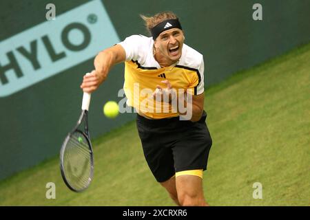 18 giugno 2024, Renania settentrionale-Vestfalia, Halle/Westfalen: Tennis: ATP Tour Halle/Westfalia, singolare maschile, 1° round, Otte contro Zverev (entrambe Germania), Alexander Zverev in azione. Foto: Claus Bergmann/dpa Foto Stock