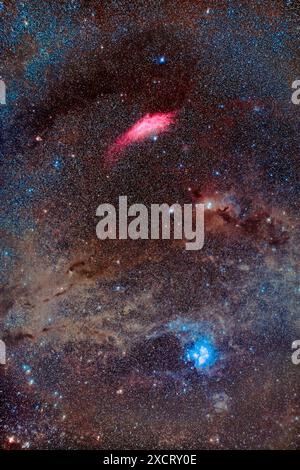 Questo è un ritratto della regione del cielo piena di polvere da Perseo fino al Toro che include la nebulosa rosa della California (NGC 1499) dall'alto verso il basso fino al Foto Stock
