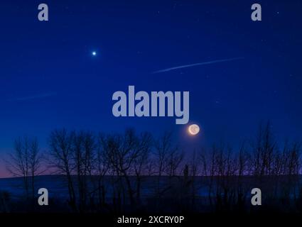 Questa è la luna crescente in discesa (illuminata dalla Terra) e Venere (come una "stella mattutina") che si innalzano insieme la mattina dell'8 gennaio 2024 nella luce Foto Stock