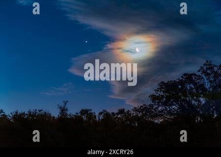 La luna crescente di ceretta vicino a Giove la sera del 14 marzo 2024, ambientata nel cielo crepuscolo occidentale in una serata d'autunno australe. La Luna i Foto Stock