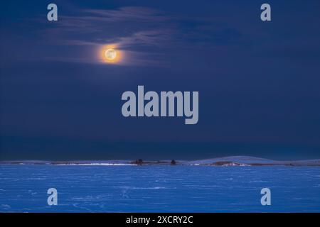 L'innalzamento della luna invernale "Wolf", la luna piena di gennaio, sopra il lago artificiale ghiacciato, nel sud dell'Alberta, 25 gennaio 2024. Mentre Foto Stock