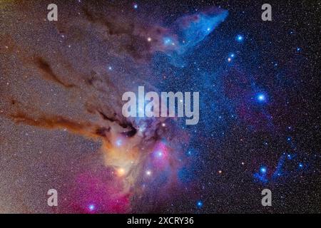 Non c'e' area piu' colorata del cielo profondo di questo campo nella testa dello Scorpio. Una miscela di nebulose di emissione rosse e magenta si combina con il rif blu Foto Stock