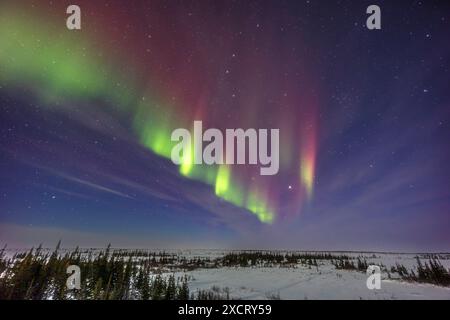 Un'aurora debole a livello KP1 con un accenno di archi paralleli doppi a nord-est visti in un cielo illuminato dalla luna, il 14 febbraio 2024, dagli studi del Churchill Northern Foto Stock