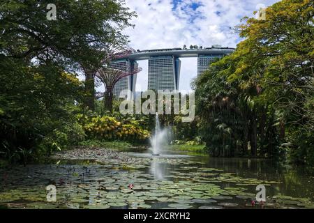 Laghetto coperto di ninfee presso i Gardens by the Bay di Singapore, dominato dalle torri del Marina Bay Sands Resort Foto Stock