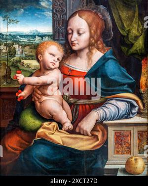 Madonna delle ciliegie di Joos Van Cleve (1485-1540/41), olio su tavola, c.1525 Foto Stock