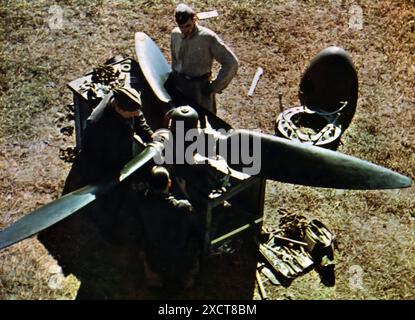 Una fotografia mostra i membri dell'equipaggio di terra che lavorano su un aereo della Luftwaffe durante la seconda guerra mondiale. Questo personale essenziale era responsabile della manutenzione e della riparazione degli aeromobili, assicurando che fossero pronti per le missioni di combattimento. Il loro duro lavoro e la loro competenza sono stati cruciali per l'efficacia operativa della Luftwaffe, sostenendo gli sforzi delle forze aeree su vari fronti. Foto Stock